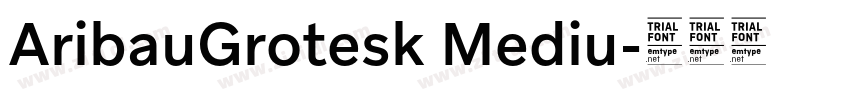 AribauGrotesk Mediu字体转换